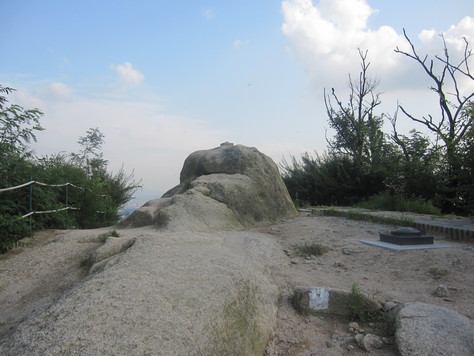 d0183631_10262421.jpg