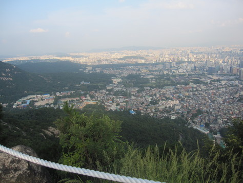 d0183631_10265615.jpg
