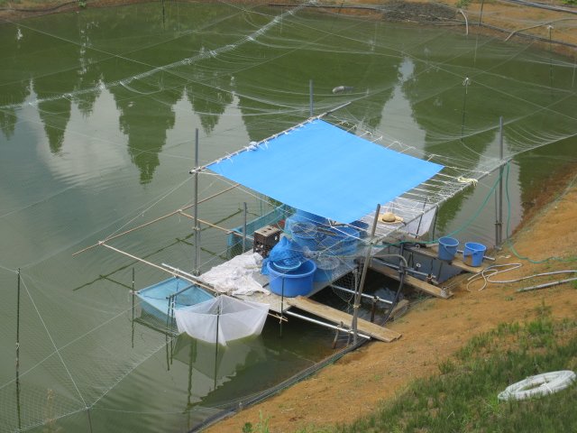 f0214235_02908.jpg