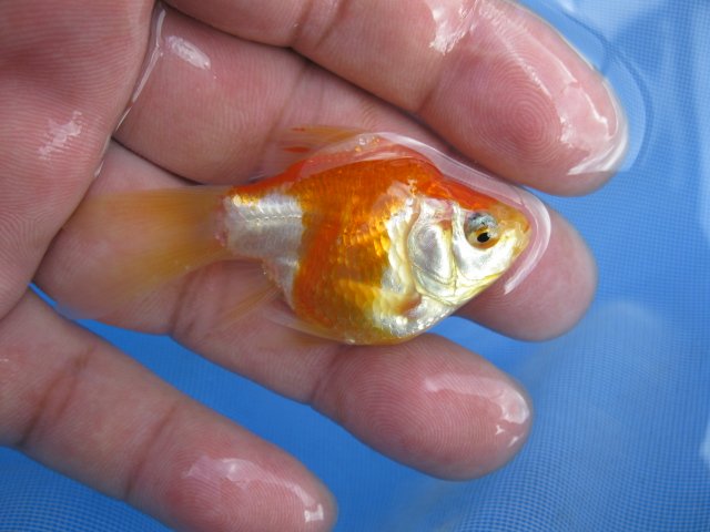f0214235_05262.jpg