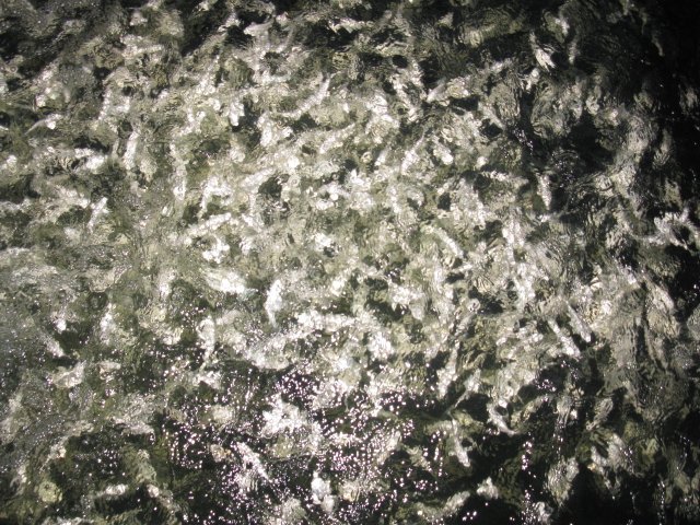 f0214235_10461569.jpg