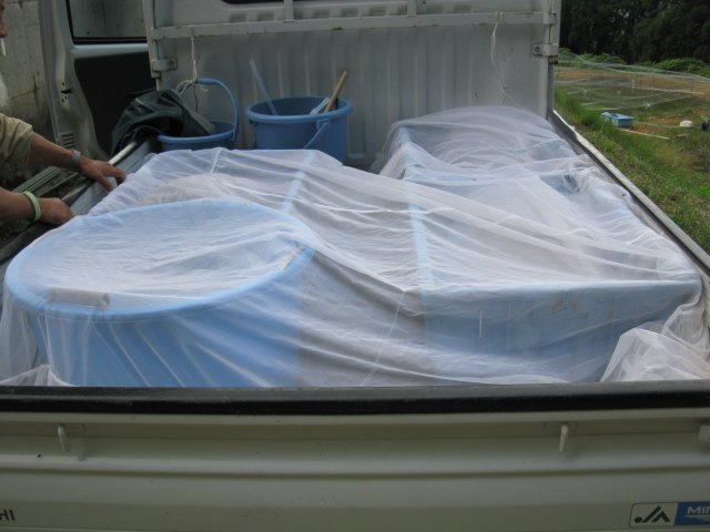 f0214235_18203.jpg
