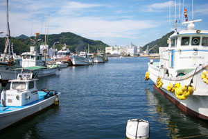 ＊心の向かう先_a0030038_11352122.jpg