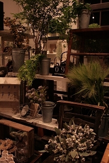 c0186039_75939.jpg