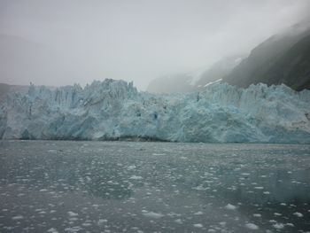 26氷河クルーズ _b0135948_853933.jpg