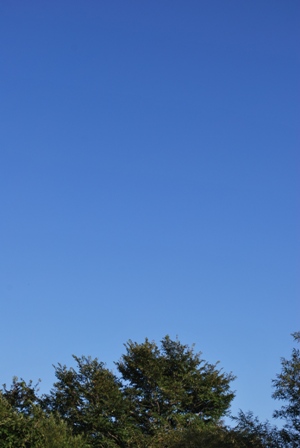 b0086858_354294.jpg