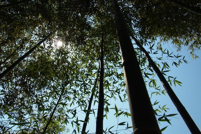 c0136759_22115259.jpg