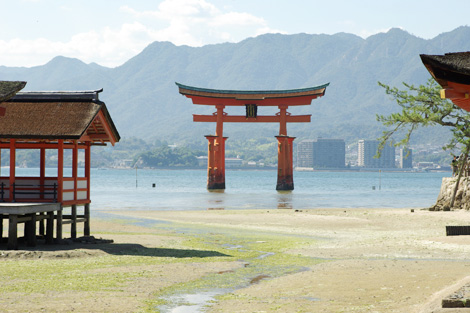 グルメツアー　その1　広島～福岡_f0196559_16473865.jpg