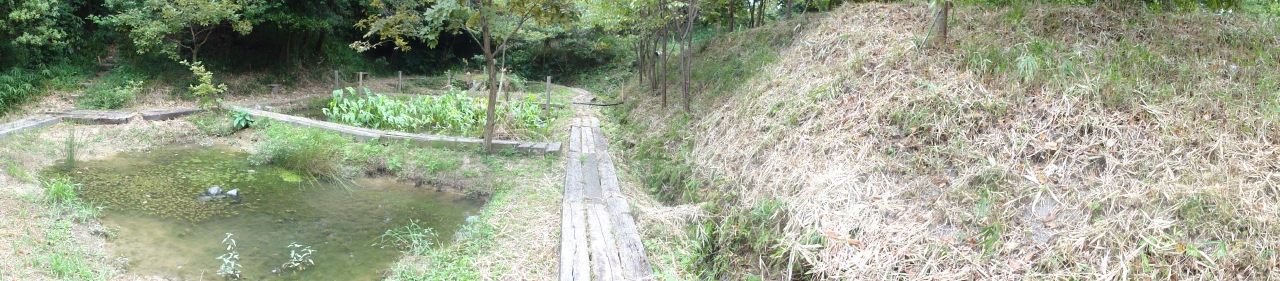 c0108460_15315411.jpg