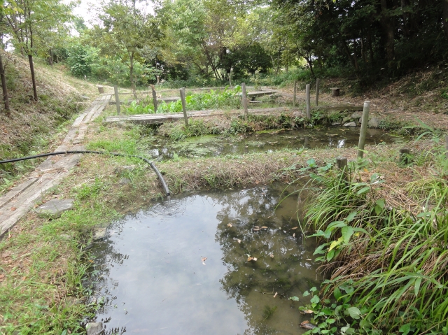 c0108460_15323412.jpg