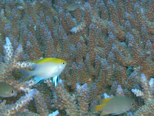 c0180460_003434.jpg
