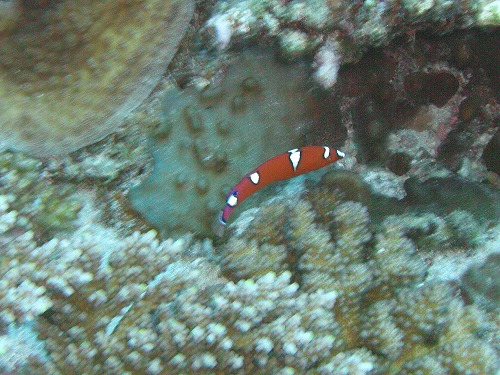 c0180460_23584695.jpg