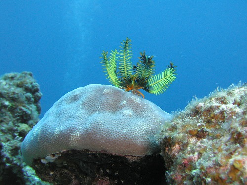 c0180460_5282165.jpg