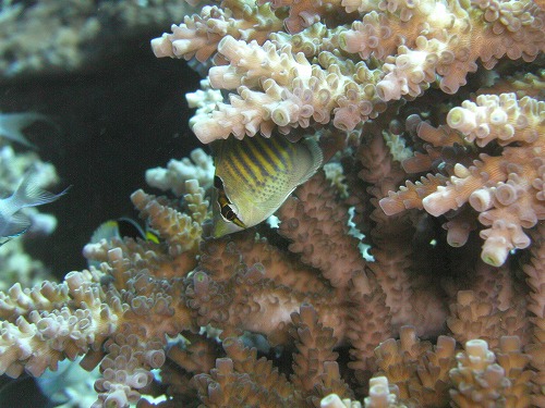 c0180460_5303091.jpg