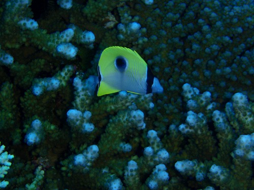 c0180460_5333168.jpg