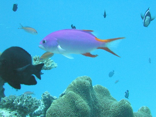 c0180460_5351631.jpg