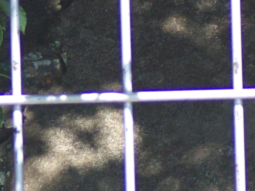 c0108863_238158.jpg