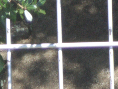 c0108863_2384992.jpg