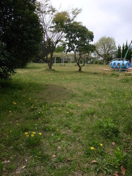 d0179066_16114080.jpg
