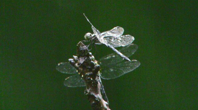 d0020180_2382614.jpg