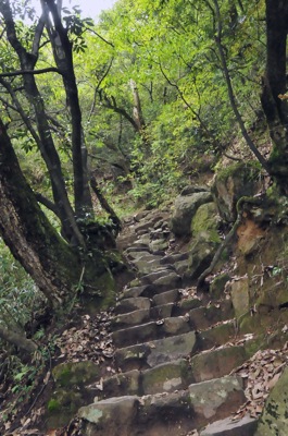 時間作り鳥取市内にある久松山へ3日ぶりに......_b0194185_22394330.jpg