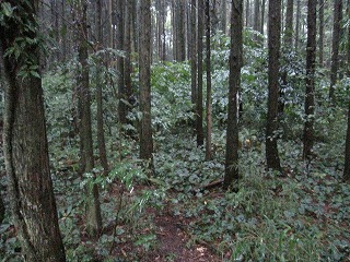 f0234087_2183825.jpg