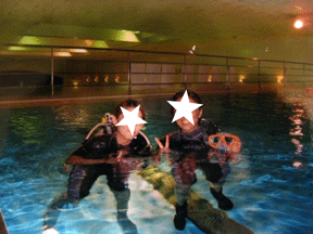 f0110488_9471940.gif