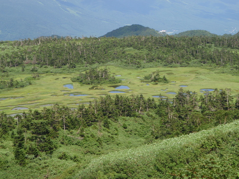 岩手 その7 千沼ヶ原 乳頭山 旧 こうちゃんの部屋 岩手 その7 千沼ヶ原 乳頭山 旧 こうちゃんの部屋