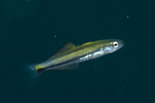 f0090791_2356427.jpg