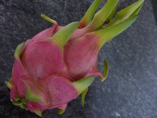 c0225494_9412817.jpg