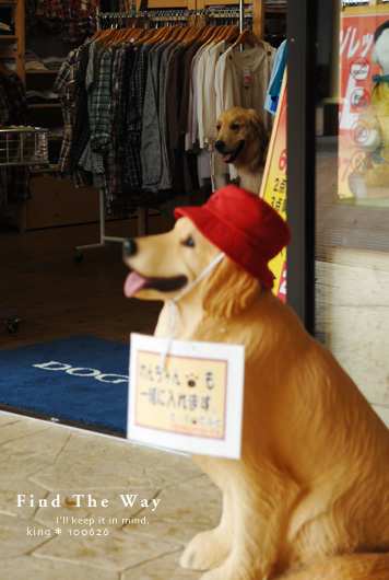 【犬的散歩日和】栃木・那須塩原 12/12 〜 那須アウトレットガーデン_f0054594_6132567.jpg
