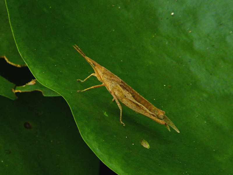 f0204094_0175162.jpg
