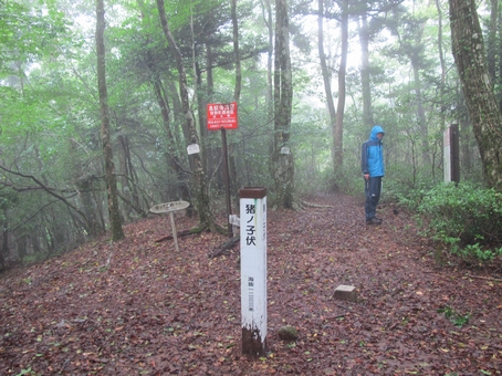 熊本球磨の二山を登る～１泊２日の山旅　｢白髪岳｣ 2010・9・12（日）_a0166196_1520956.jpg