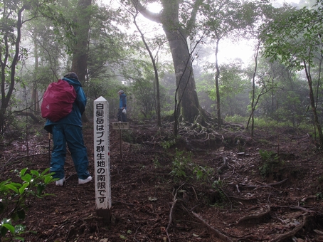 熊本球磨の二山を登る～１泊２日の山旅　｢白髪岳｣ 2010・9・12（日）_a0166196_15323665.jpg