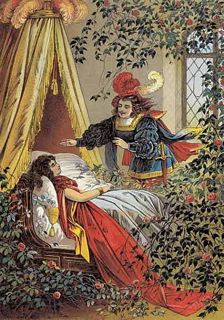 眠りの森の美女のパヴァーヌ 〜Pavane de la belle au bois dormant〜_c0203401_0502080.jpg