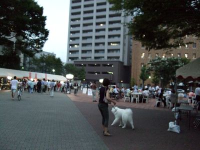 d0149103_920655.jpg