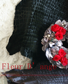 b0111306_22234019.gif