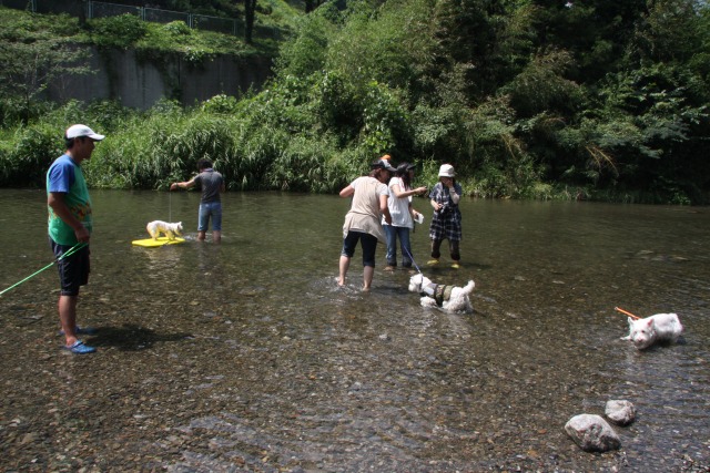 みんなでＢＢＱ～～2010/8/21_f0039907_23303546.jpg