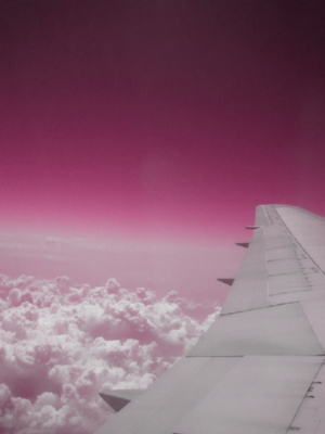 b0197308_2251536.jpg