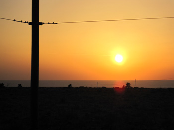 d0146108_1031414.jpg