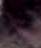 e0103408_17345346.gif