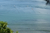 f0221708_13464037.jpg