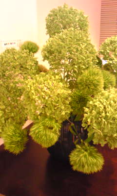 c0180209_2325473.jpg