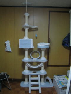 c0024410_2320519.jpg