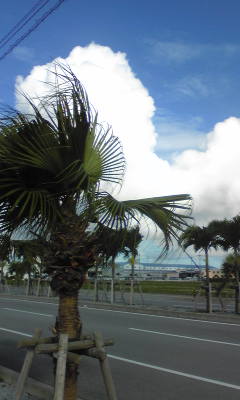 b0150911_0215465.jpg