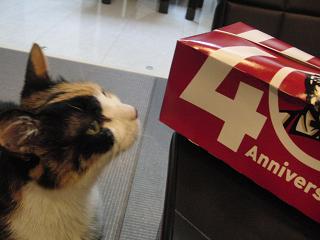 c0201113_010241.jpg