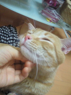 再会_f0178313_0483334.jpg