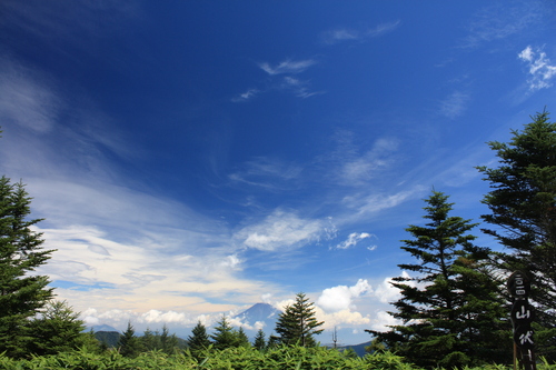 b0093515_7333515.jpg