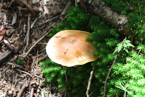 b0093515_7373850.jpg