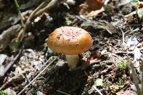b0093515_737926.jpg